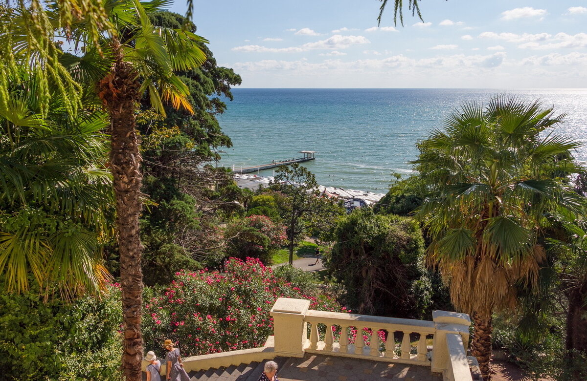 Обзорная по Сочи