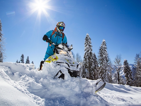 Тур на снегоходах "Дикий лес"